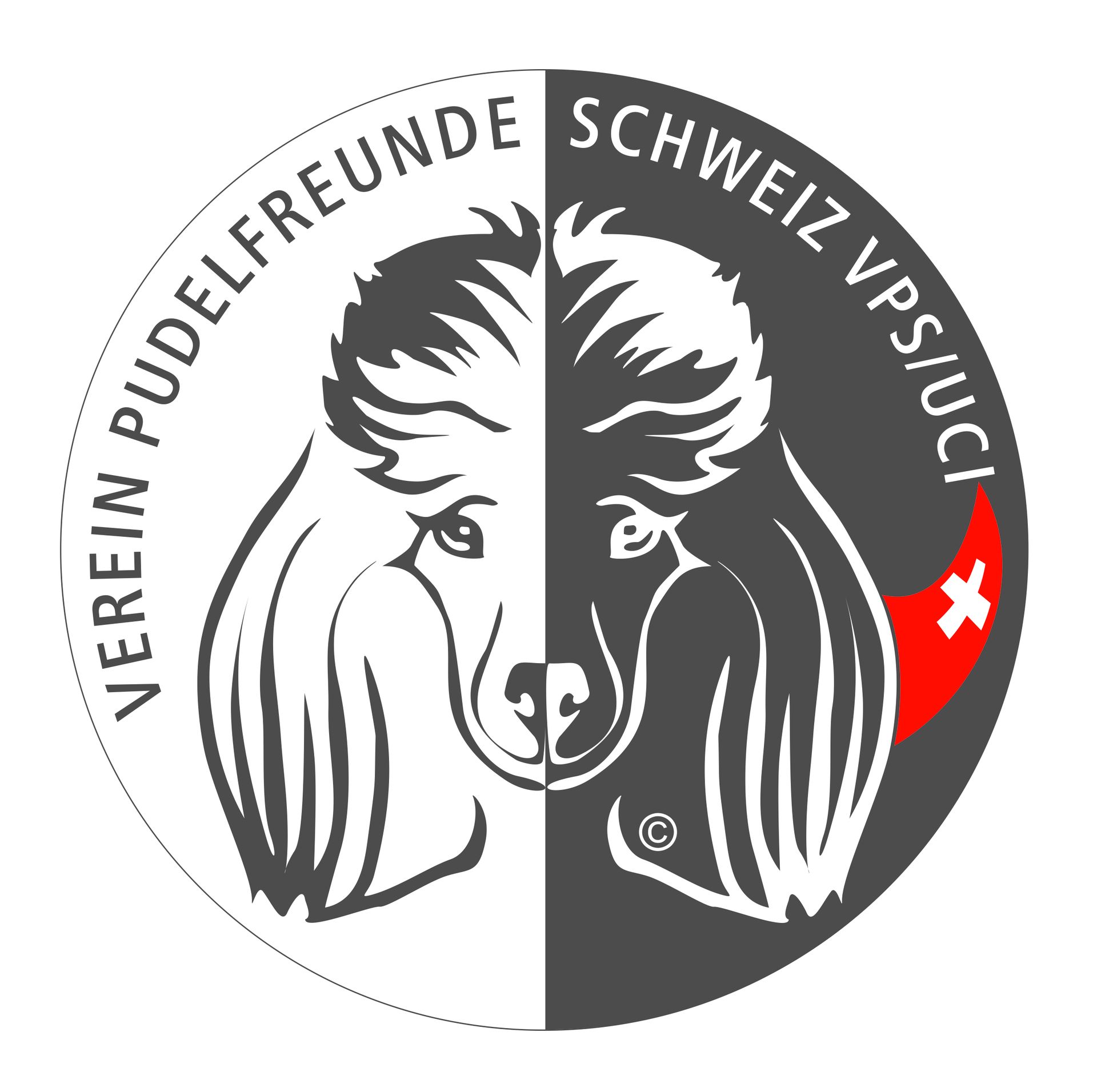 Pudel Verein